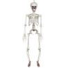 Skeleton dekorácia na zavesenie, 91 cm